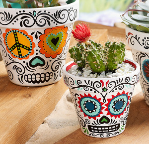 Day of the Dead Daisy Planters