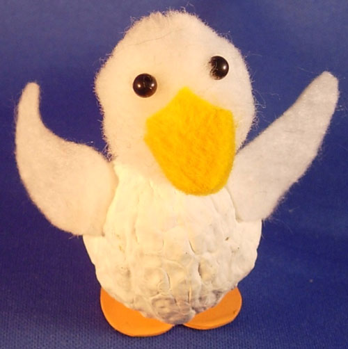 walnut duck