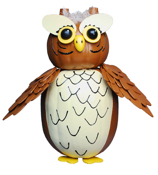 owl pumpkin